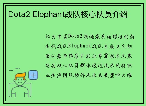 Dota2 Elephant战队核心队员介绍