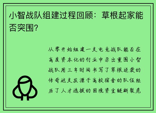 小智战队组建过程回顾：草根起家能否突围？